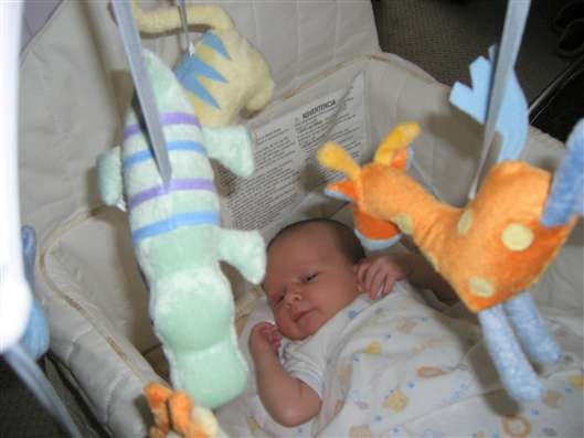 Click for large image